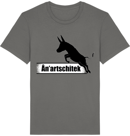 Ân'artschitek (Flex)