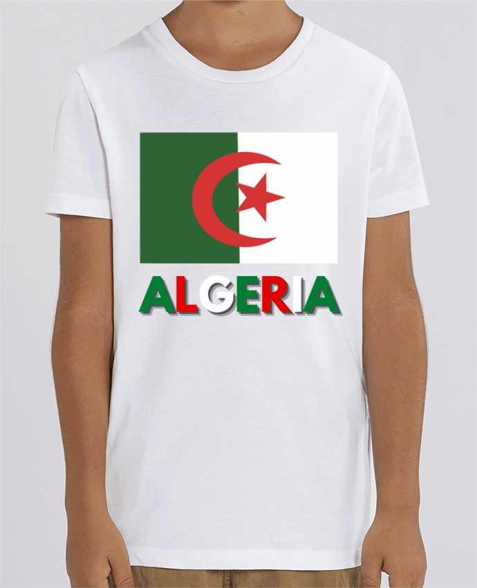 Mini drapeau Algérie