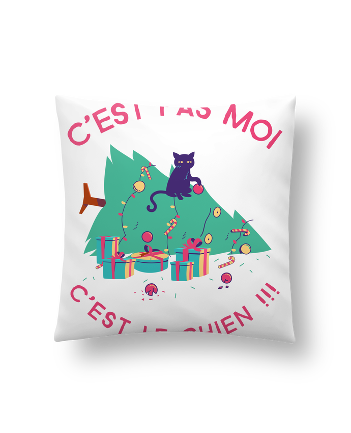 Coussin Synthetique Doux 41 X 41 Cm Humour De Chat Sandra Web Design Ch